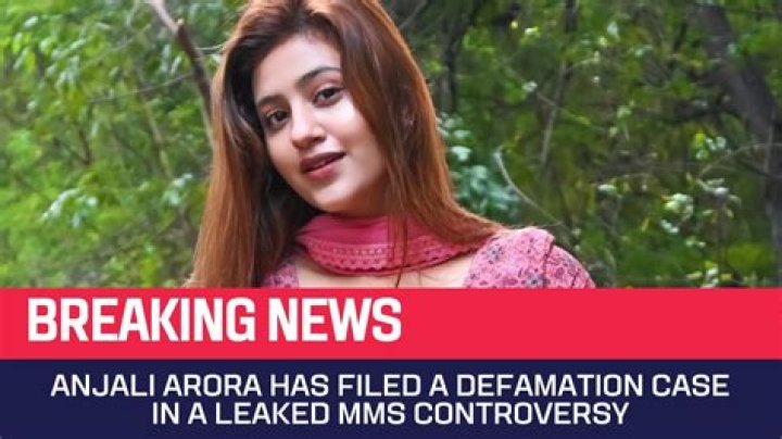 Anjali Arora: The Controversy Behind Her Videos