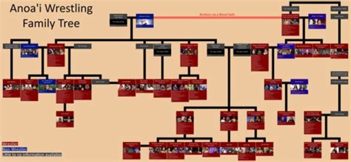 Anoa'i Family Tree WWE: A Comprehensive Look at the Wrestling Legacy