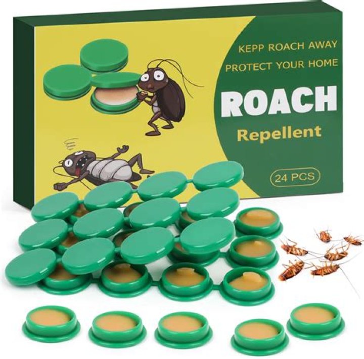 Best Roach Killer for Home: Ultimate Guide to Eliminate Roaches Permanently