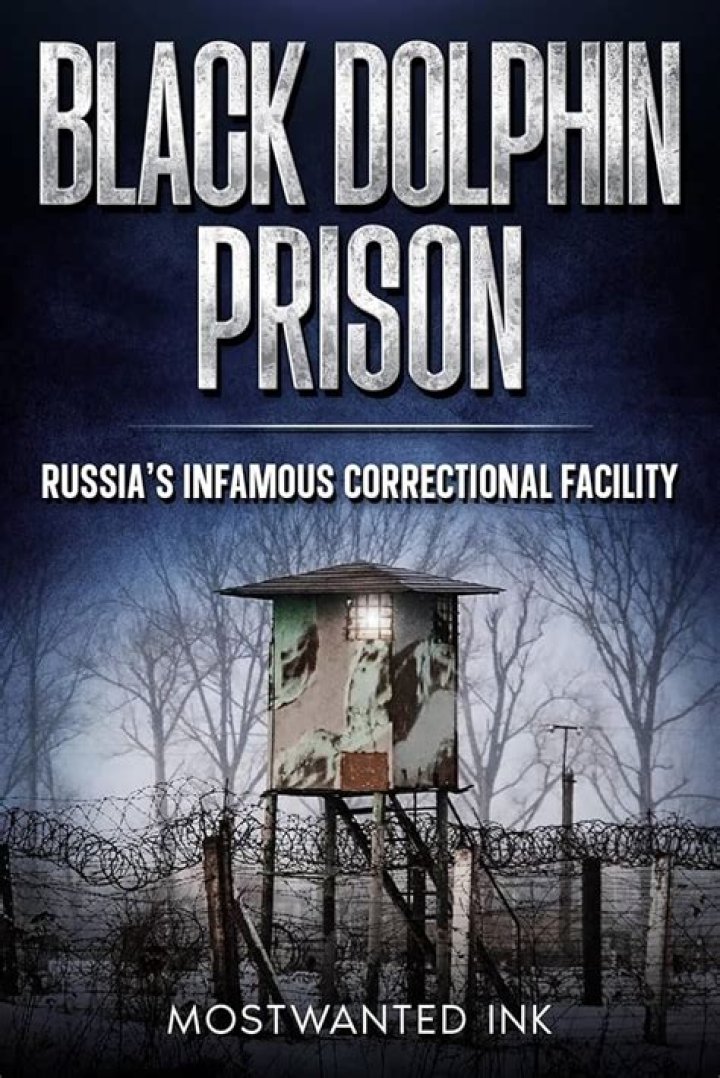Black Dolphin Prison Stories: The Dark Reality of Russia's Infamous Penitentiary