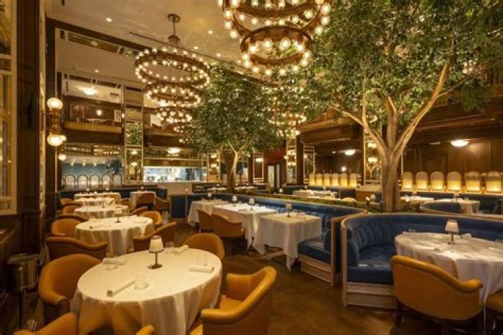 Bond New York Restaurant: A Culinary Paradise in the Heart of the City