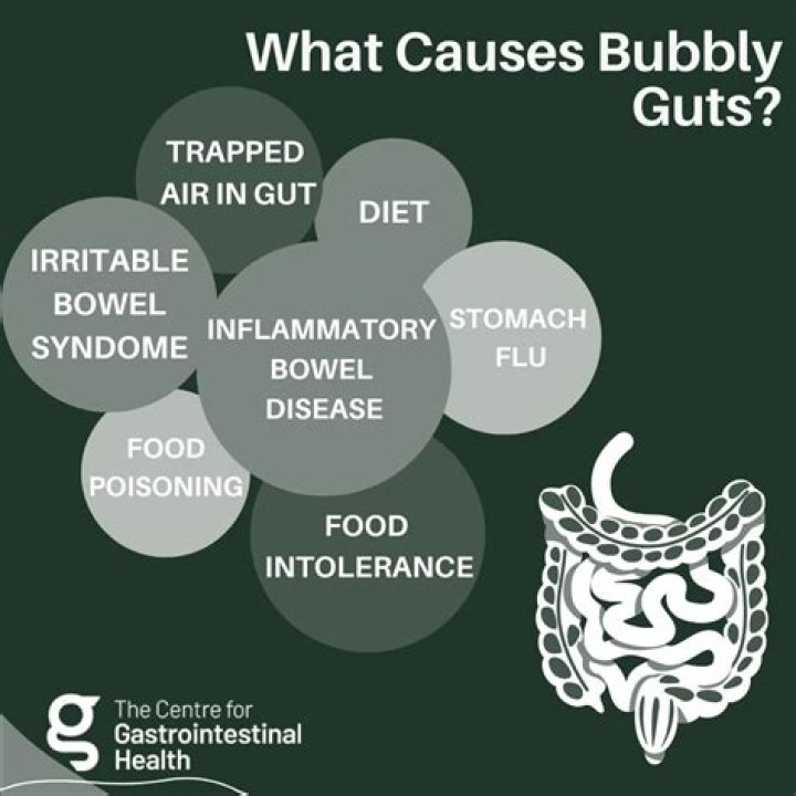 Bubble Guts and Diarrhea: Understanding Causes, Symptoms, and Solutions