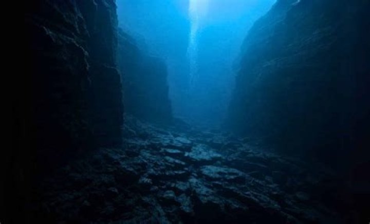 Discover the Fascinating World of Sherraharpe