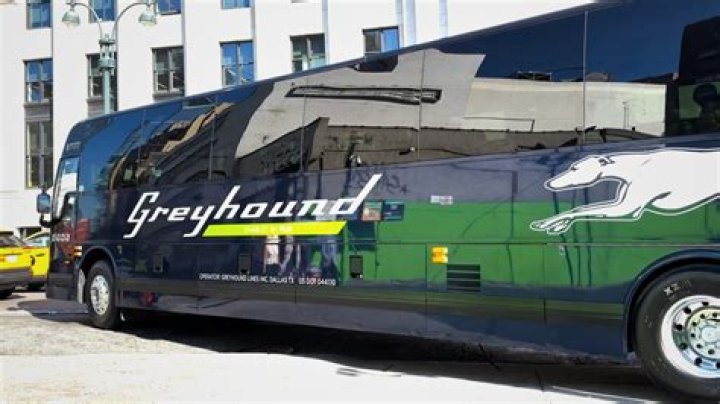 Exploring the Benefits and Services of Greyhound Bus: Your Ultimate Guide