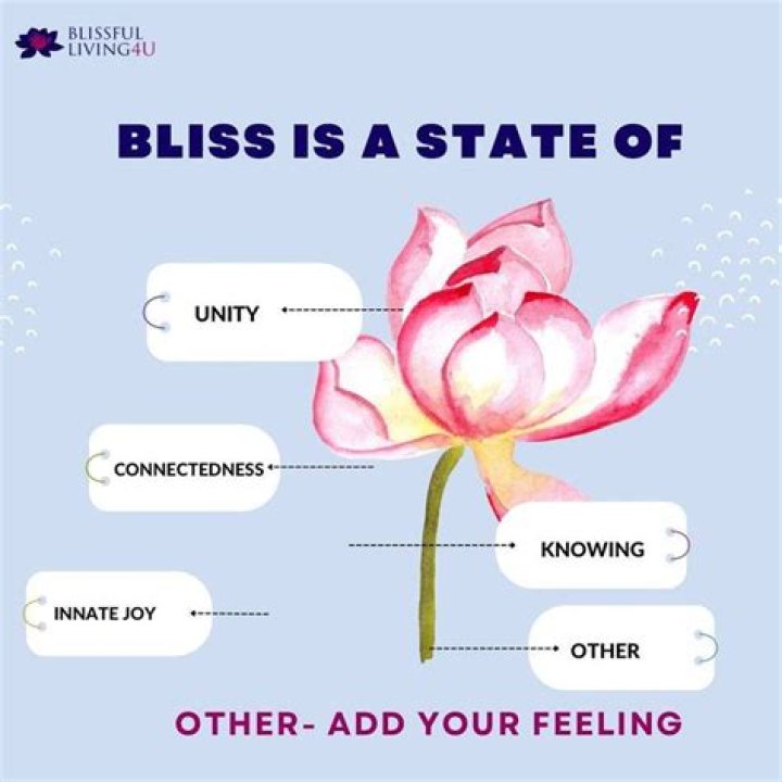 Exploring the Bliss Definition: Understanding True Happiness