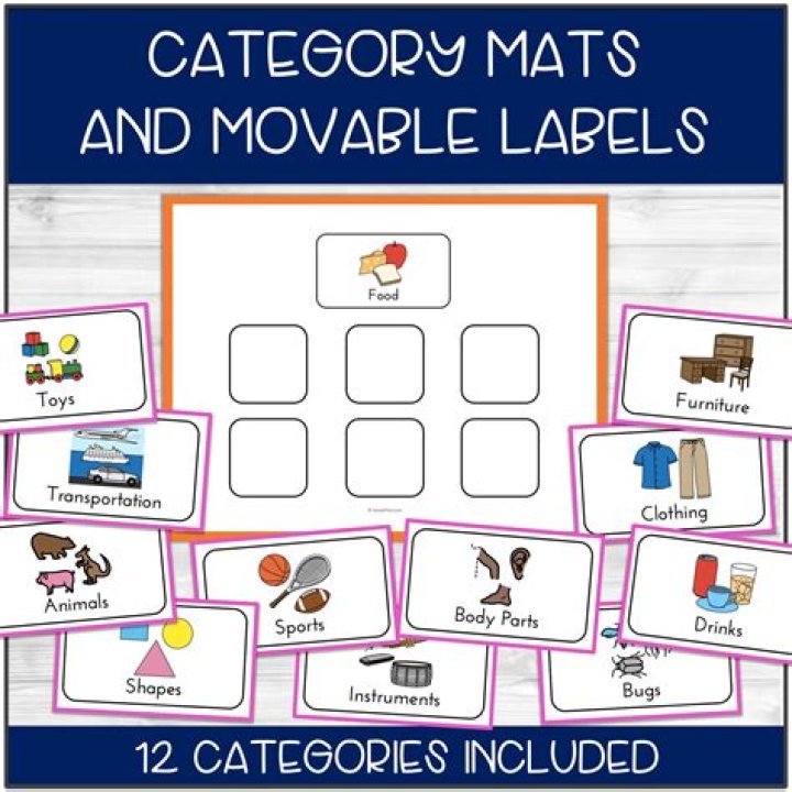 Exploring the Diverse Types of Categories: A Comprehensive Guide