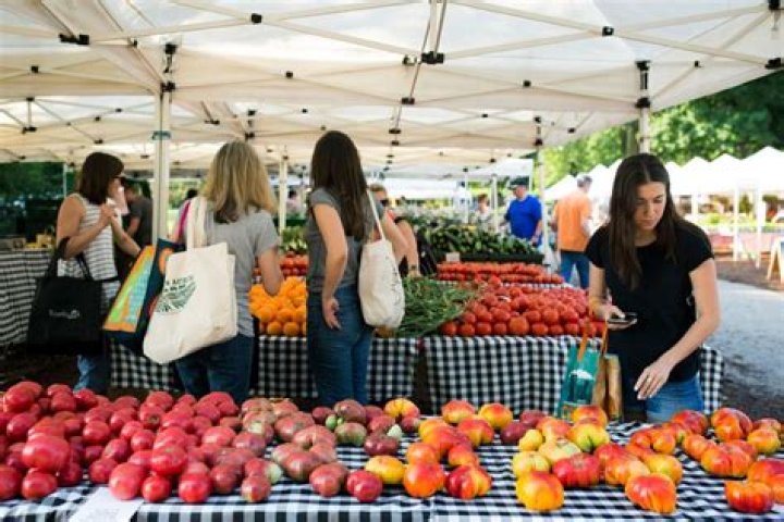 Exploring the Vibrant Green City Market Chicago: A Sustainable Urban Oasis