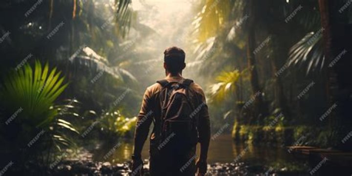 Exploring the World of VIP: A Cinematic Adventure
