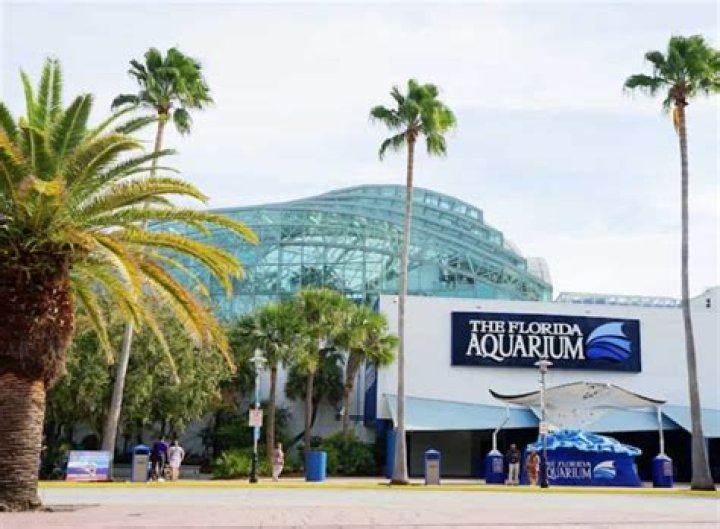 Florida Aquarium Florida: A Gateway to Marine Wonders