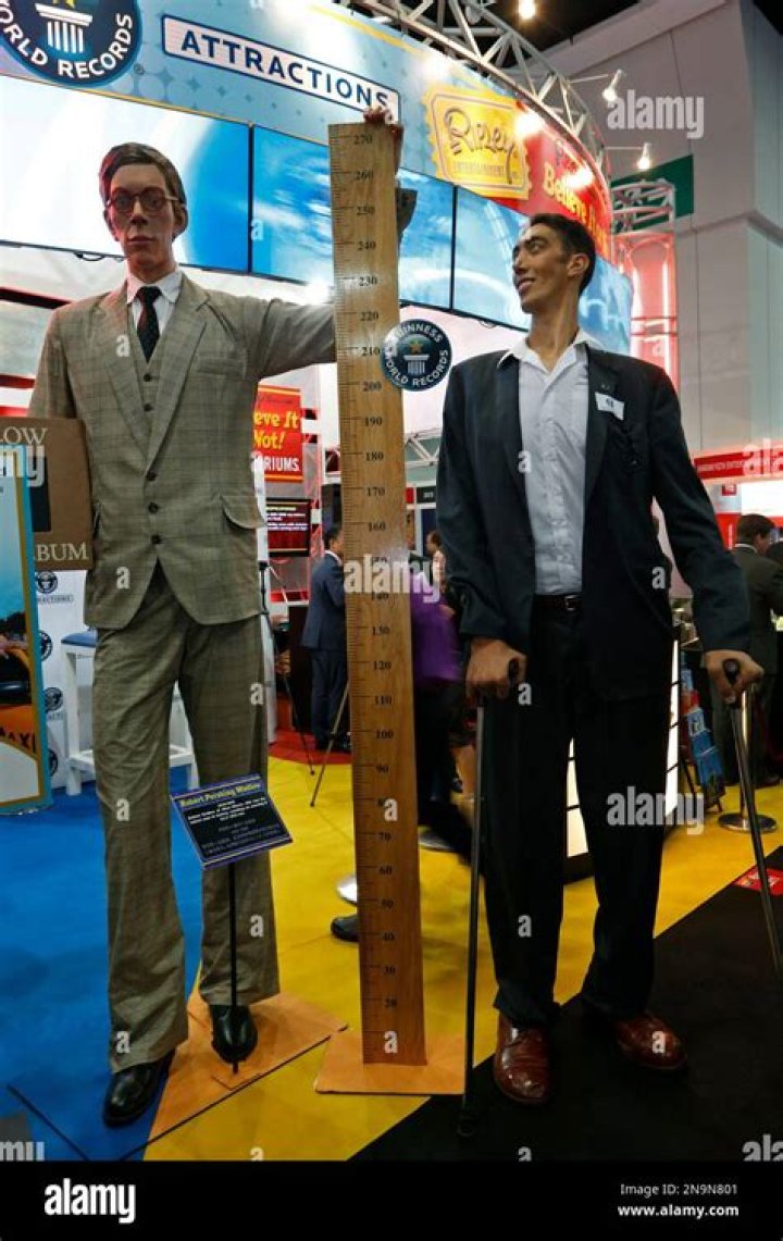 How Tall Is the Tallest Man in the Sultan Kosen: Unveiling the World Record