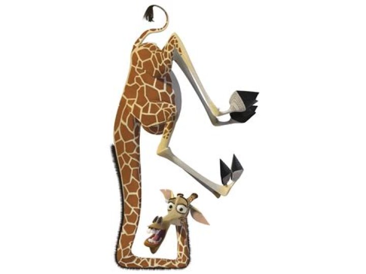 Madagascar Melman Personality: A Comprehensive Exploration
