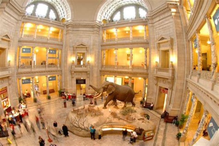 Smithsonian National Museum of Natural History Tickets: Your Ultimate Guide
