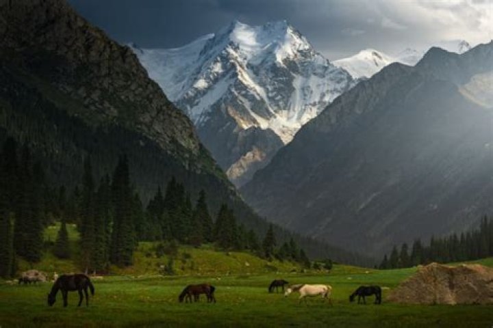Tokmok Kyrgyzstan: A Hidden Gem in Central Asia