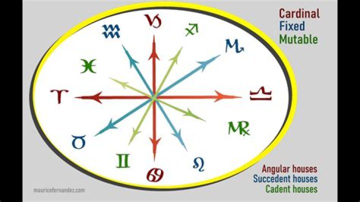 Understanding Cardinal Fixed Mutable Meaning: A Comprehensive Guide