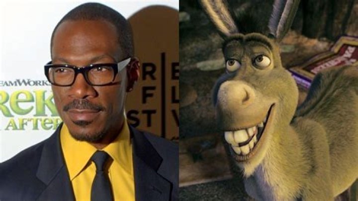 Voice of Donkey Onhrek: Exploring the Iconic Character and Its Impact