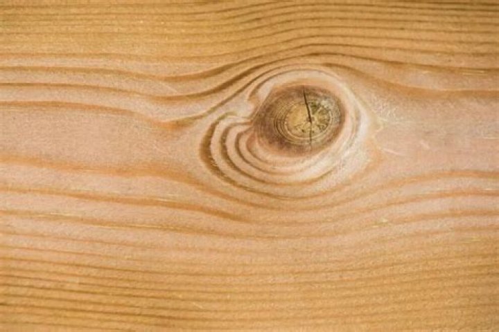 What is a Knot in Wood: A Comprehensive Guide to Understanding Wood Knots