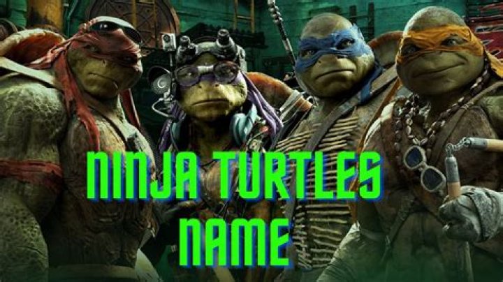 What is the Purple Teenage Mutant Ninja Turtle's Name? A Comprehensive Guide
