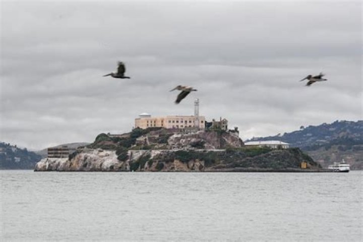 Why Did Alcatraz Prison Close? A Comprehensive Look into the History and Closure of the Notorious Penitentiary