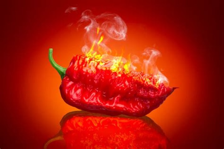World's Hottest Chillicovillecale: Exploring the Fiery Side of Spices