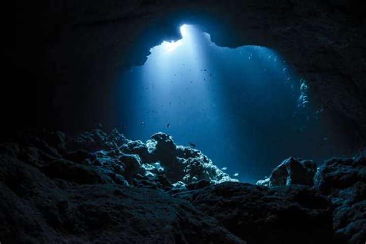 Zodiac Band: Exploring the Depths of Cosmic Rock